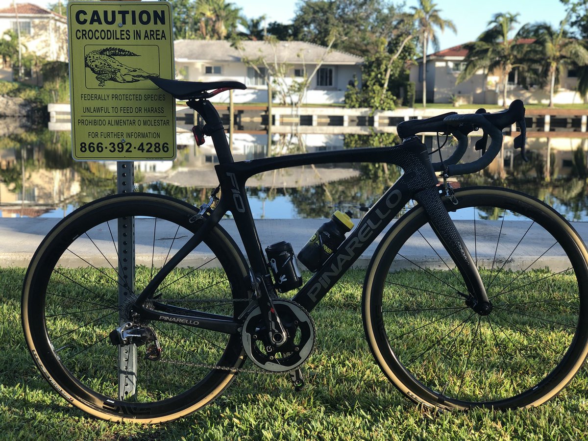 joyto's tweet photo. Caution 🐊 @pinarello https://t.co/CcDc4KUULS