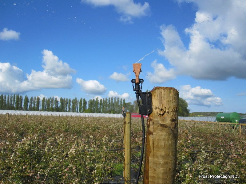 NaanDanJain on Twitter: &quot;ITS #FROST_PROTECTION TIME! ARE YOU PREPARED? The  #Flipper - NaanDanJain&#39;s #micro_sprinkler champion for  #Strip_Frost_protection: getting ready for action in a #blueberry farm in  #England.… https://t.co/xo8Zprf3zV&quot;