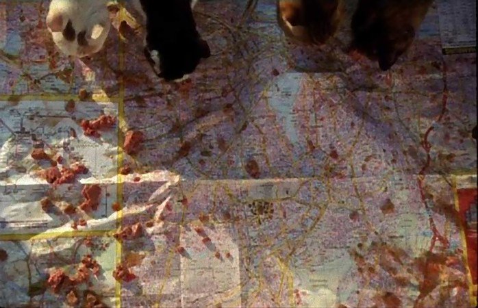 STUDIOLEQUIPE's tweet photo. À 17h30 #ChatsErrants de #YaëlAndré
à @PointCulture_be @ULBruxelles avec @Cinergie
#CobraFilms @RTBF @ARTEfr
#Postproduction #STUDIOLEQUIPE https://t.co/Jvs9UtgWaR