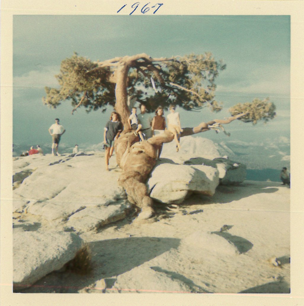 New Making Tracks post: @greggmitman on his #envhist journey to the Carson Center &amp; beyond bit.ly/2ztPLhZ #envhum #histsci #biology