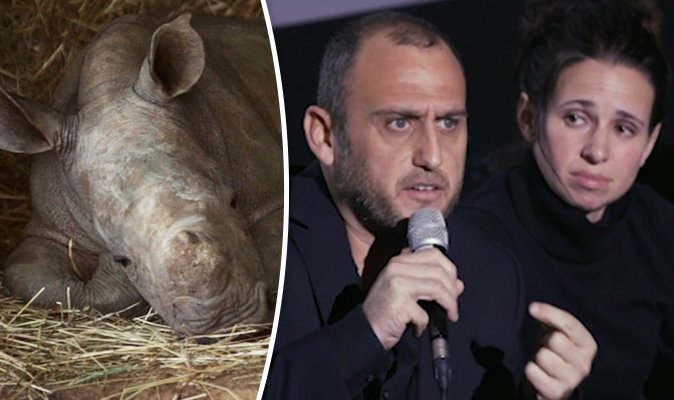 Trophy hunting: Is putting a PRICE on animals the only way to save them? @TrophyTheFilm director has his say #TrophyTheFilm bit.ly/2B3dpyl