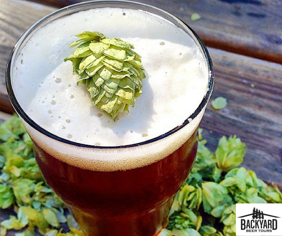TObrewerytours's tweet photo. A natural preservative,  aiding in foam stability,  and an anti-oxidant, what can't hops do!? #WednesdayWisdom #hopknowledge #drinkingandthinking https://t.co/VaP4Qi4ue2