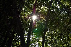 Taking nature into account can accelerate the global #SDGs, says <a href="/IUCN/">IUCN</a>. Learn more from leading business, government and sustainability experts at the upcoming #NatCap17.  bit.ly/2AoqS7J