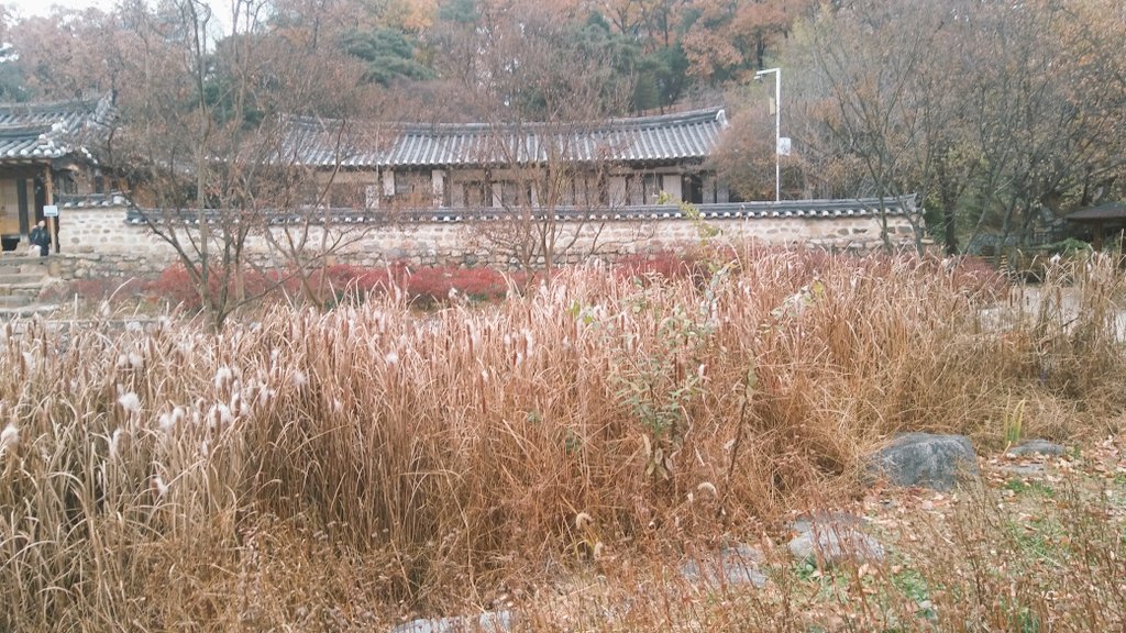 일주일만에 이렇게 빛깔이 변했다.
내년엔 이곳에 오지 않게 되어 그런지, 벌써부터 흑백사진처럼 빛바랜 이곳에서의 추억이 아름답다. 
왜 지나가는 것은 아름답고 현재는 고달픈건지...
현재를 과거처럼 아껴야겠다.
어떻게 하면 그럴 수 있을까?