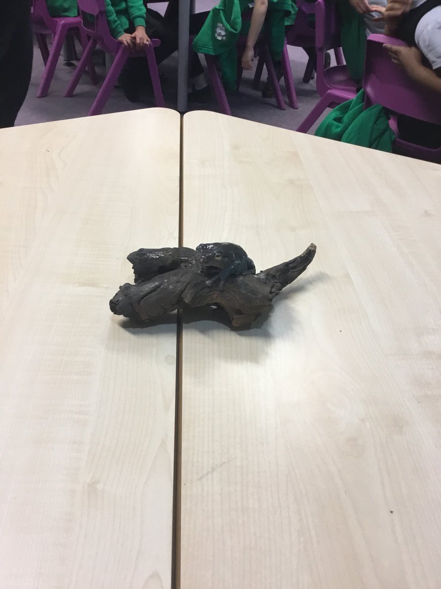Y3Roundhay's tweet photo. We’ve had some interesting visitors in Y3 today! @ZooLabUK are here! We’ve been learning about animals as part of our science topic. https://t.co/RxZ6y6aOD2