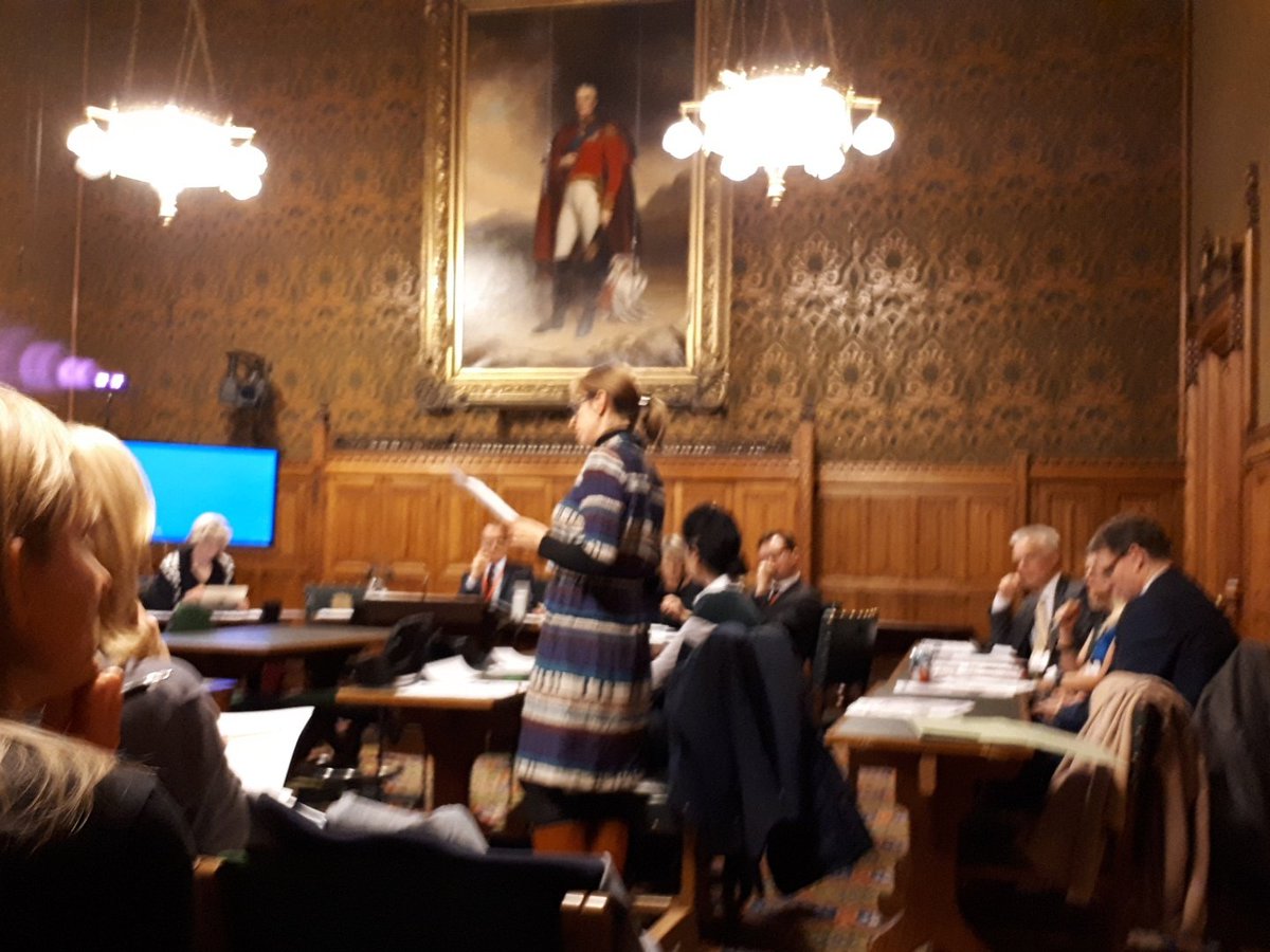FASD_Trust's tweet photo. @APPG_FASD thank you  @LucyLucyabutler Dr Loubaba Mamluk for speaking on Low Alcohol Comsuption in Pregnancy at the APPG on #FASD https://t.co/mUBCiA3Cv9