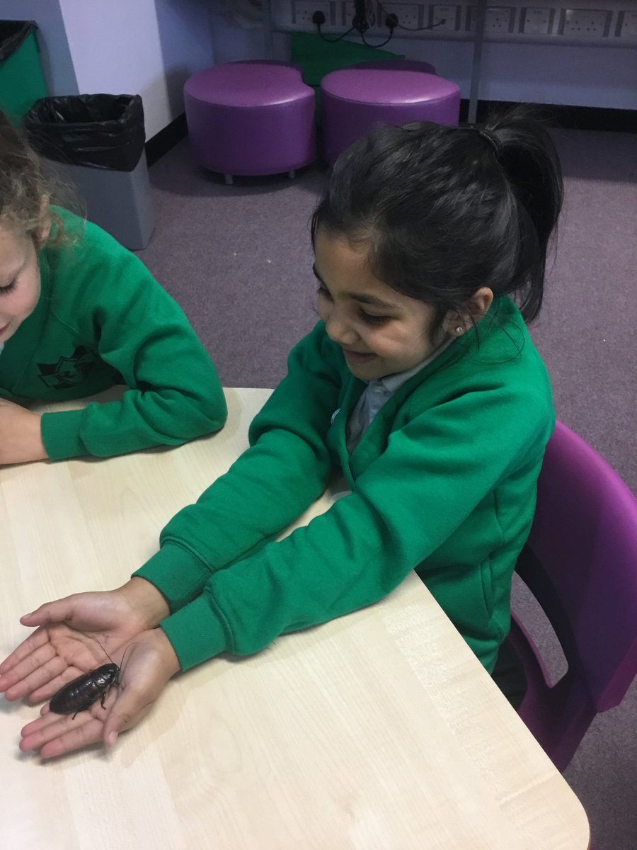 Y3Roundhay's tweet photo. #zoolab https://t.co/3Khoz6LNKT