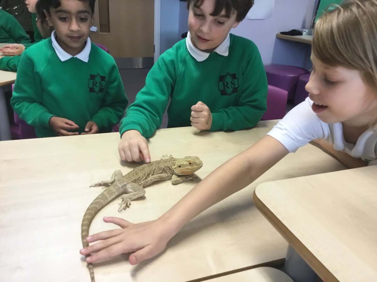 Y3Roundhay's tweet photo. #zoolab https://t.co/3Khoz6LNKT