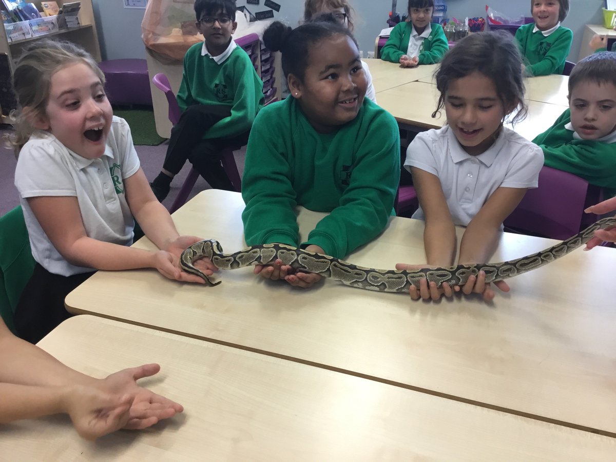Y3Roundhay's tweet photo. #zoolab https://t.co/3Khoz6LNKT