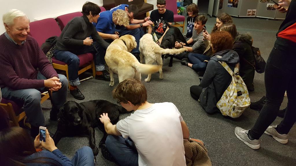 Come to <a href="/FyldeCollege/">Fylde College</a> common room to meet some lovely dogs!