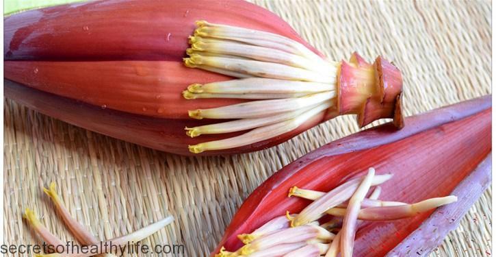 SecHealthyLife's tweet photo. Benefits Of Banana Blossom Flower https://t.co/R8z2s1z5Cl https://t.co/rO1vlyozHq