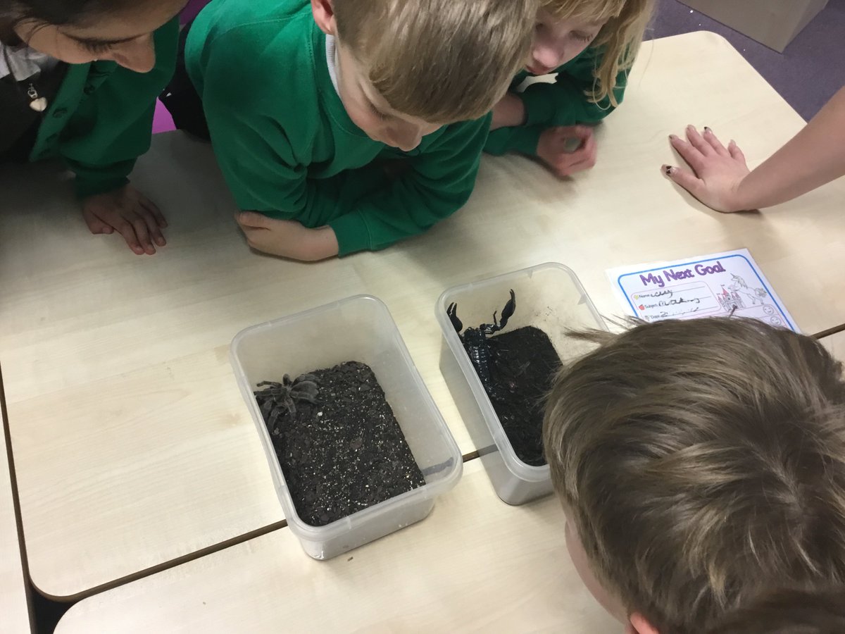 Y3Roundhay's tweet photo. #zoolab https://t.co/rzxf8aQ2UP