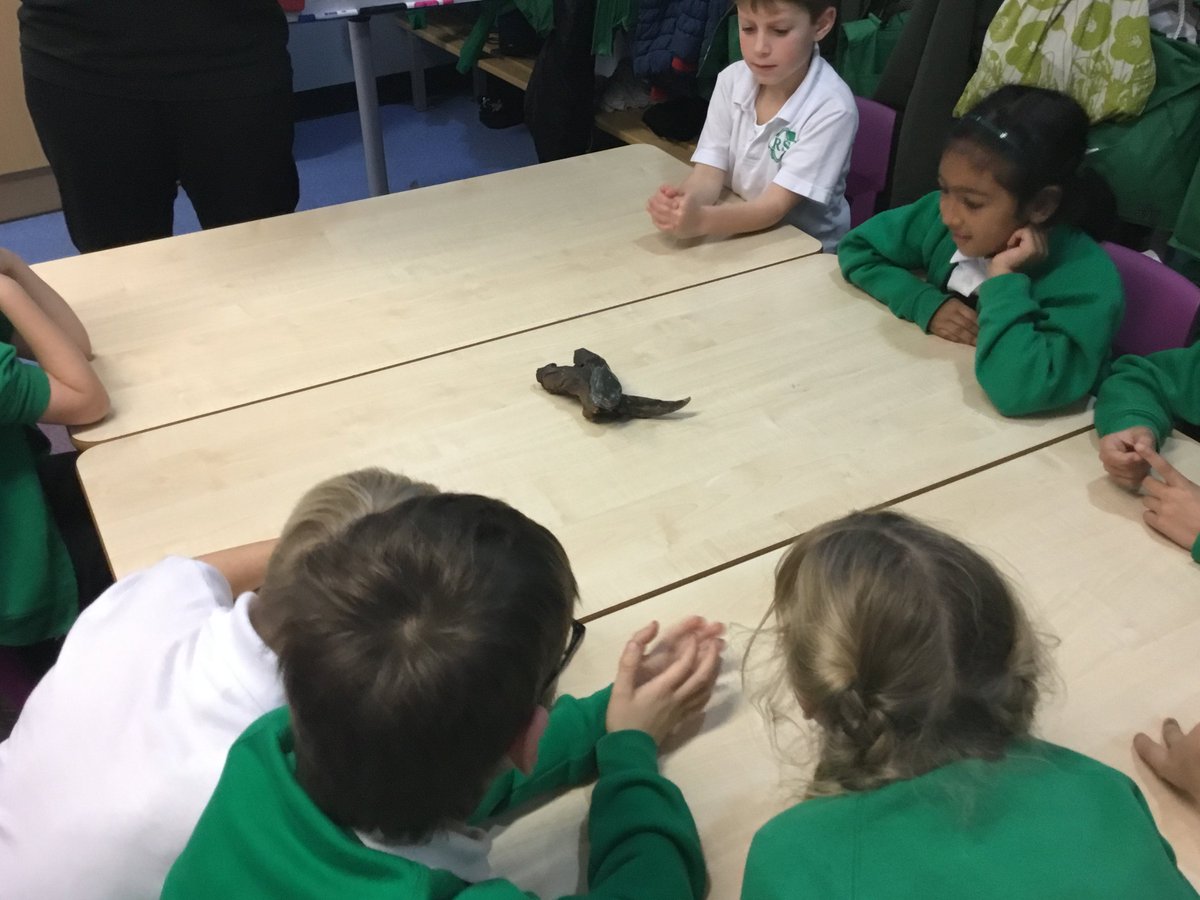 Y3Roundhay's tweet photo. #zoolab https://t.co/rzxf8aQ2UP