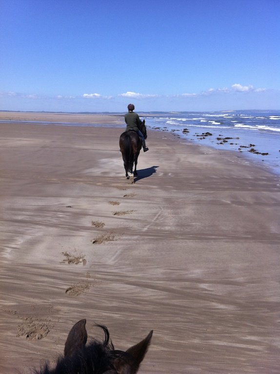 KimmerstonRides's tweet photo. On days like these it's good to think ahead to next year, so how about one of our riding vouchers to make someone happy at Christmas?#Vouchers #presents #beachride #moorride #farmride #nextyear https://t.co/0gD3fI1Dr8