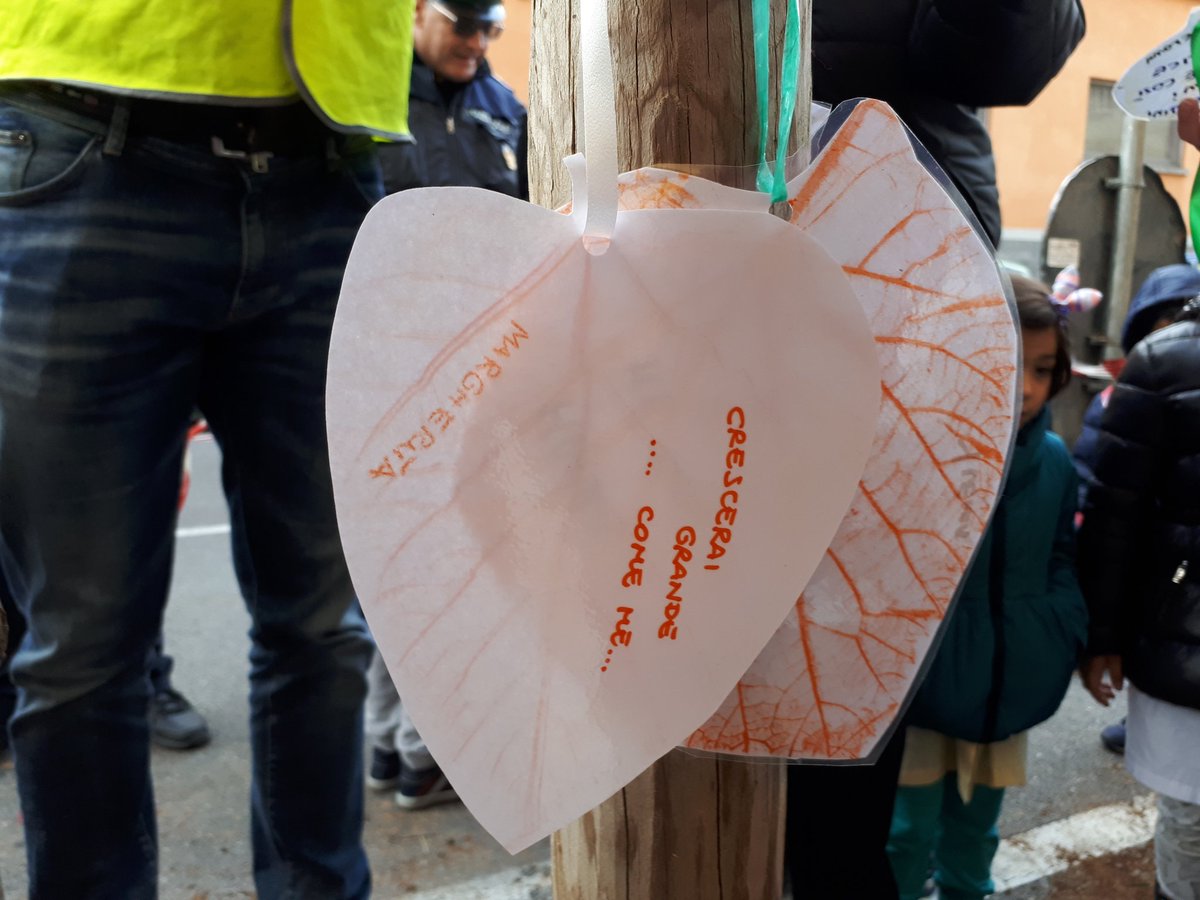 il_bosco_acm's tweet photo. C'era un'aiuola spoglia davanti alla Scuola dell'Infanzia. Oggi grazie ad un bel lavoro di squadra  tra istituzioni e residenti, e soprattutto grazie alla creativita` dei bimbi, e` diventata l'aiuola piu` bella del quartiere! #giornatanazionaledeglialberi #malpensata #bergamo https://t.co/uc1RXTo0Kx