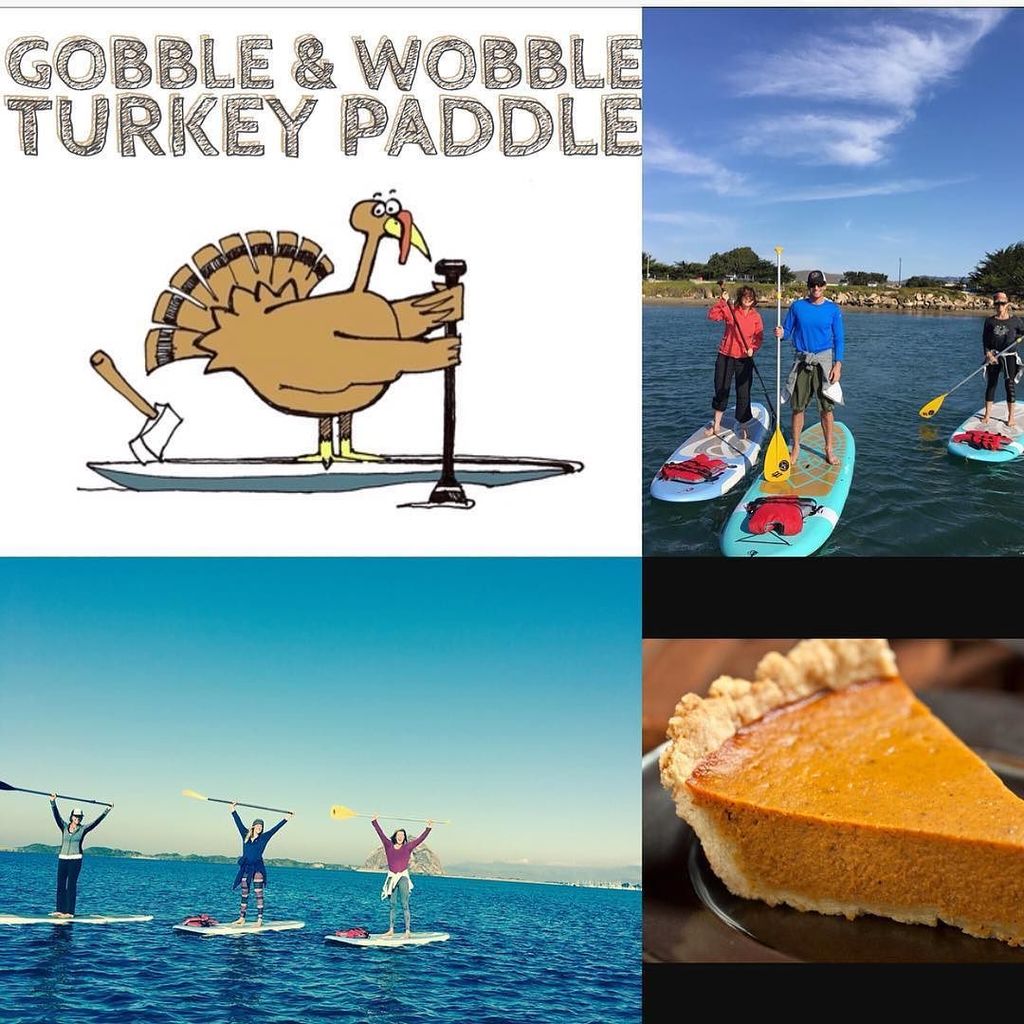 The Paddleboard Co. tweet media