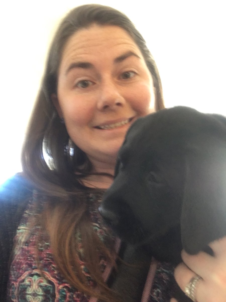 amandaaugust27's tweet photo. There are puppies at HIA today!! https://t.co/7fk7VtWISB