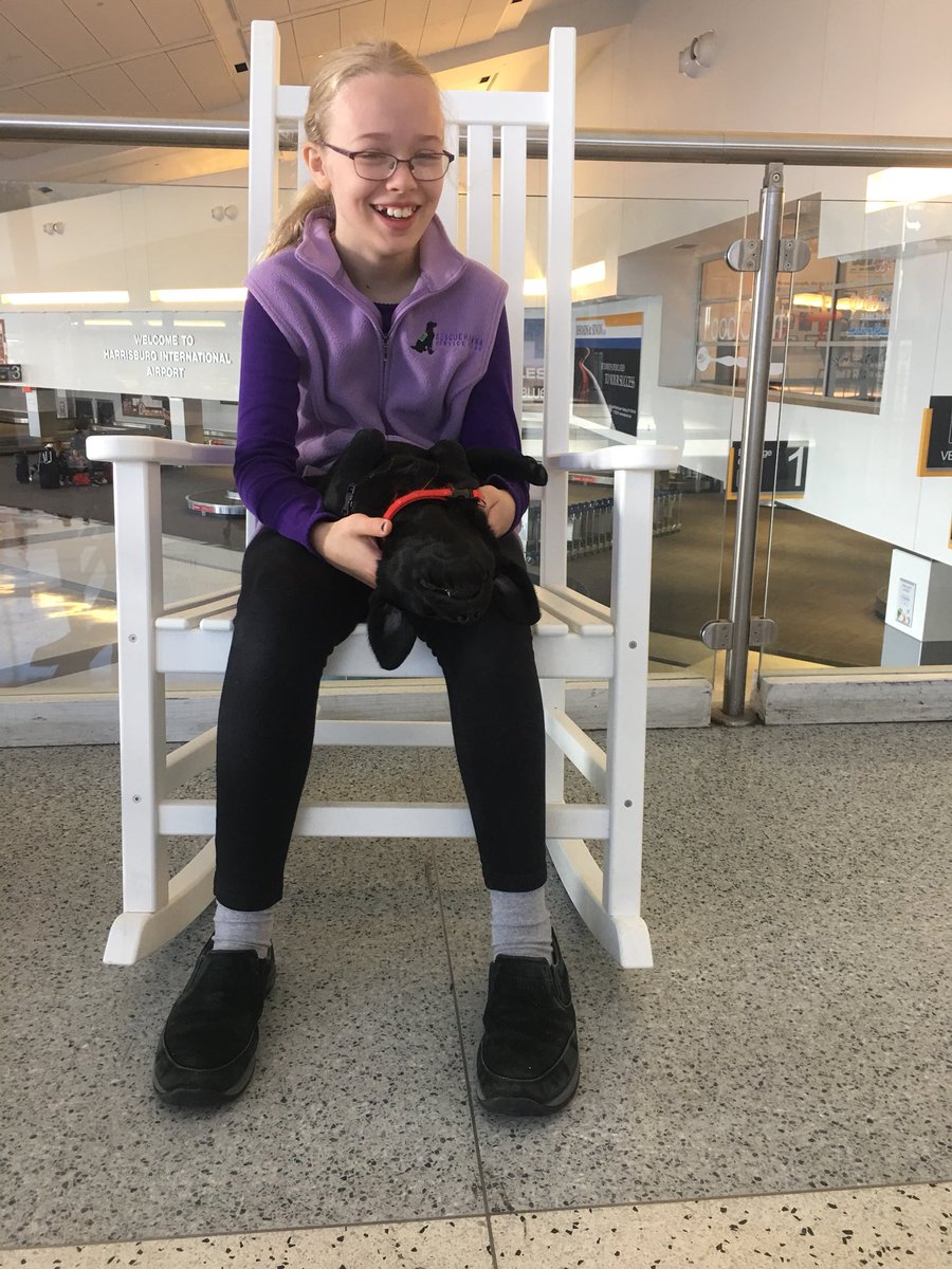 amandaaugust27's tweet photo. There are puppies at HIA today!! https://t.co/7fk7VtWISB