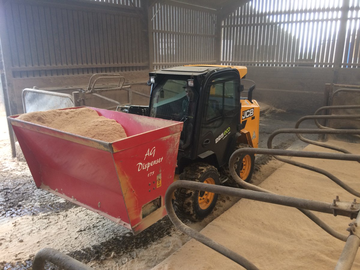 JCBagriculture's tweet photo. Getting ready to bring the cows in for winter! JCB’s range of skid steer loaders have a side entry door, which makes using attachments such as this sawdust dispenser much safer and easier, as you don’t have to climb through the front. https://t.co/UHSDFvH2jU