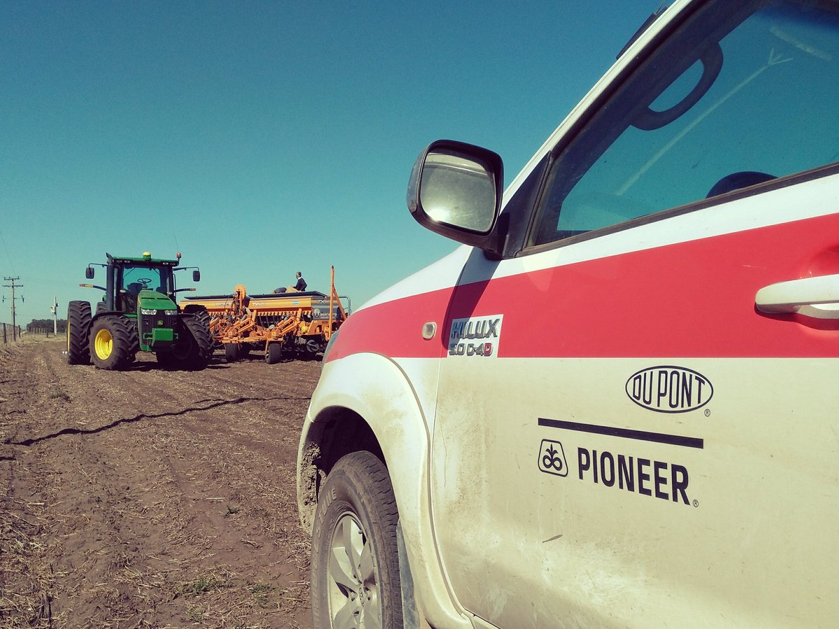 Dealers_Pioneer's tweet photo. #StripTest #NuevosHíbridos #Maíz #Leptra #Intrasect #Sudeste https://t.co/UPMPKCtEJT