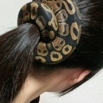 えっこれ本物!？飼い主が好きすぎるヘビが落ち着いた場所がヤバすぎる!