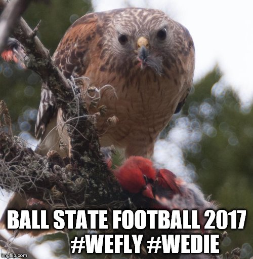 CLynchbo's tweet photo. So I guess things didn't go so well last night...again. #BallStateFB #ChirpChirp #WaitTilNextYear https://t.co/EZBqIkUWcU