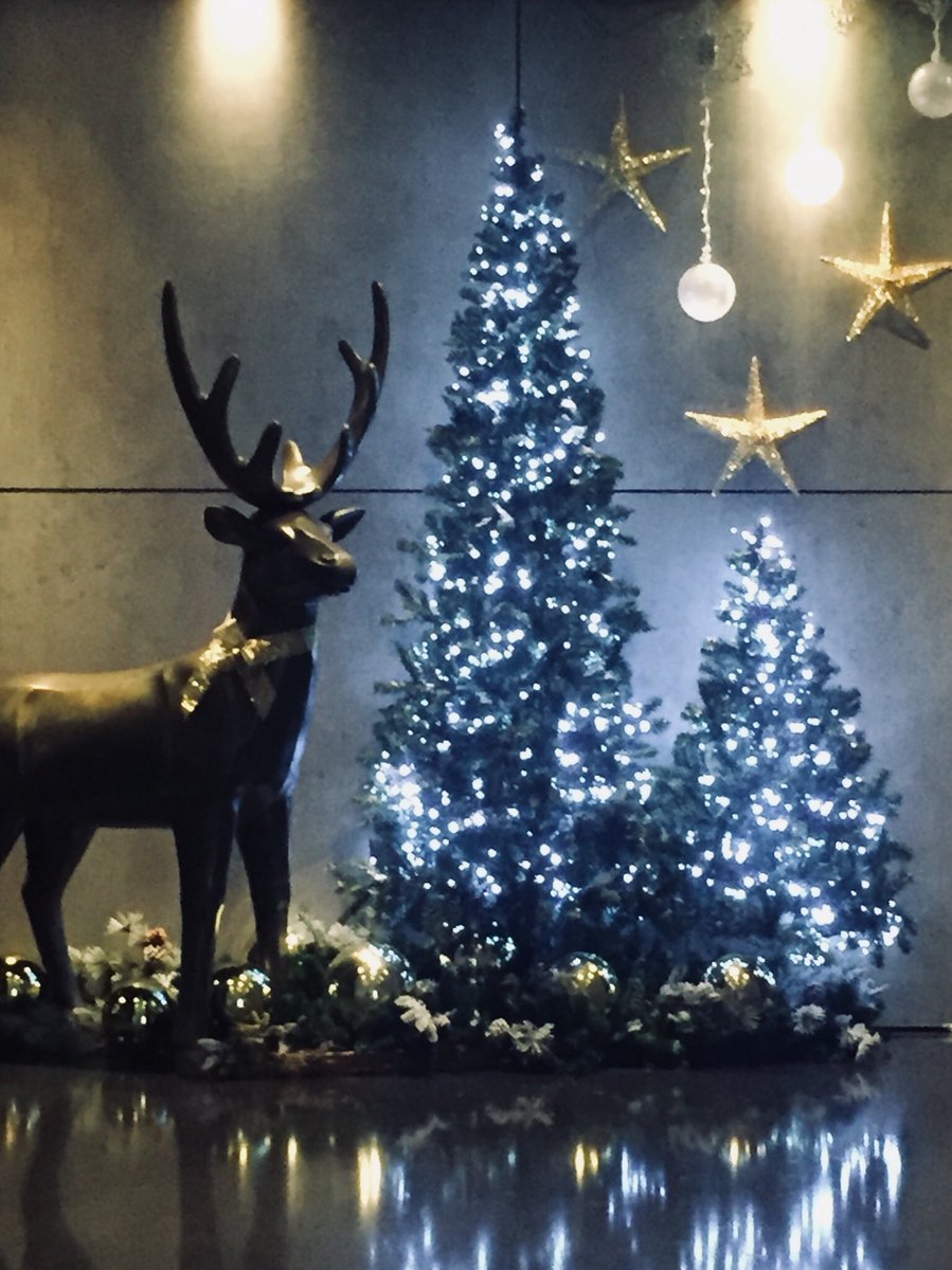 ForumCourt's tweet photo. Beautiful Christmas decorations at the new @ParkPlazaHotels London Bridge #christmas #venue #hotel #london https://t.co/yaKNAqYk02