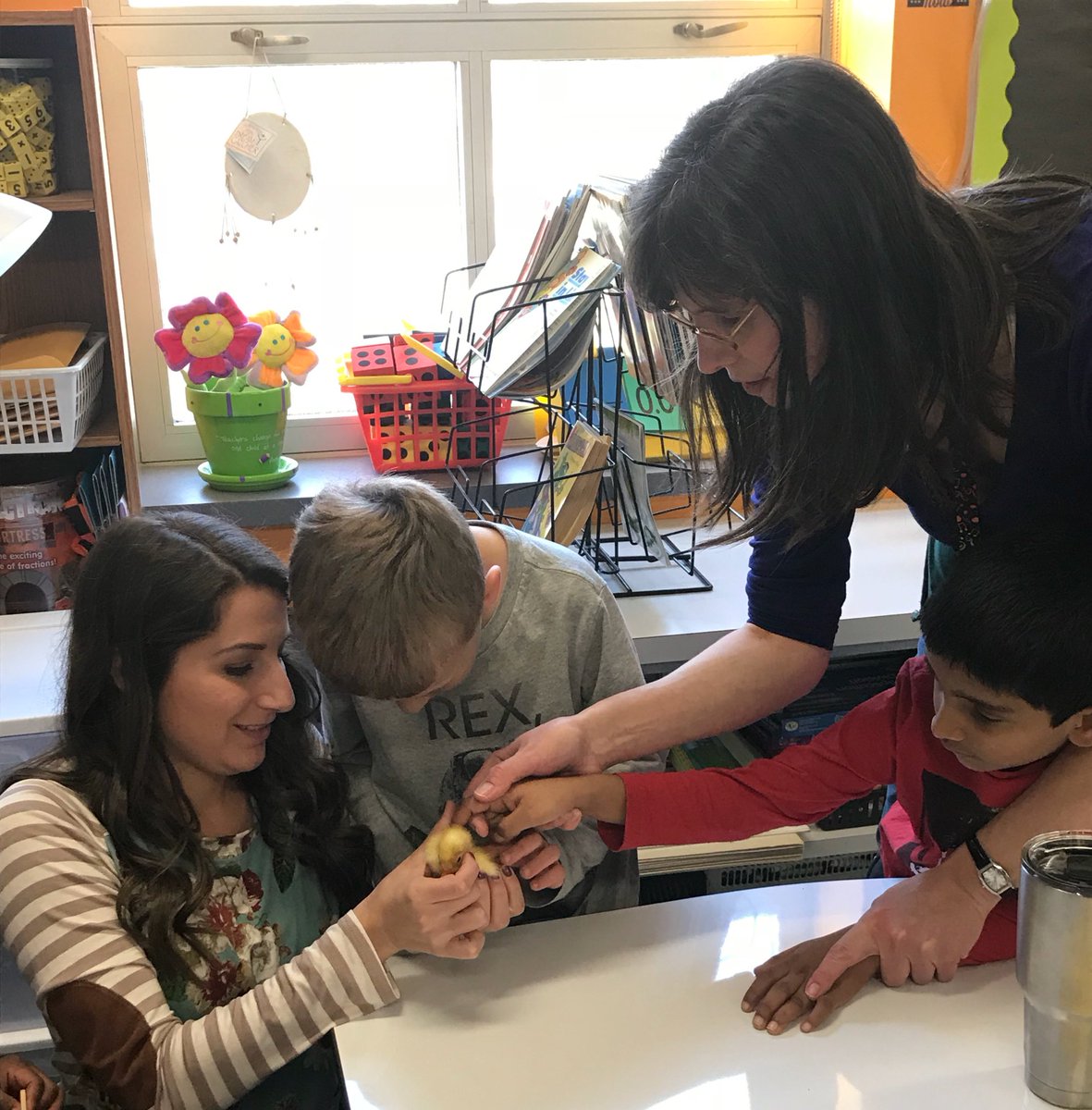 Rosgone4thgrade's tweet photo. Ducks, ducks, ducks!! We're head over heels for our 2 ducks! 😍😍😍#scienceexperiences #EveryKidEveryDay https://t.co/V7oLOIkx9W