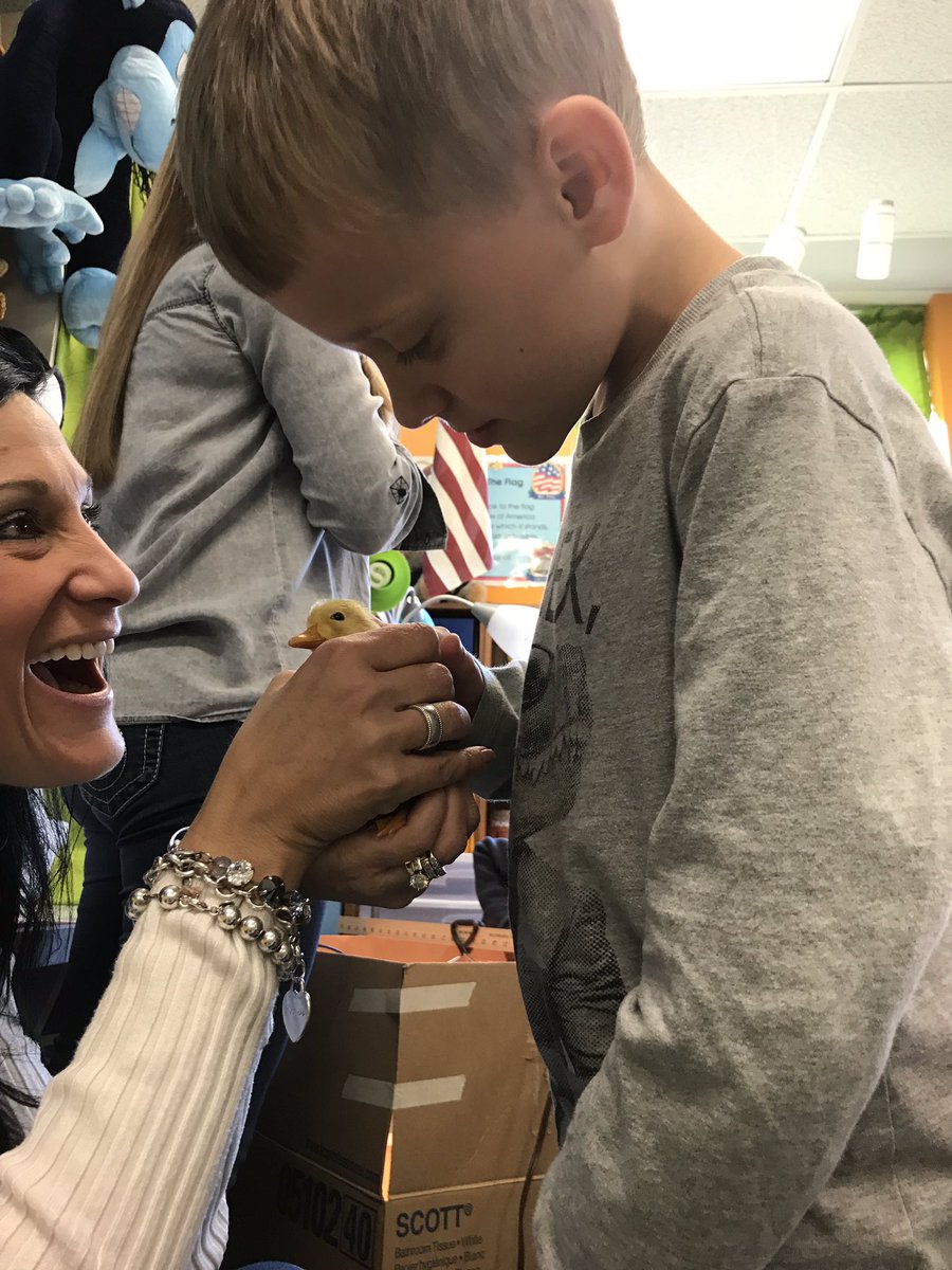 Rosgone4thgrade's tweet photo. Ducks, ducks, ducks!! We're head over heels for our 2 ducks! 😍😍😍#scienceexperiences #EveryKidEveryDay https://t.co/V7oLOIkx9W