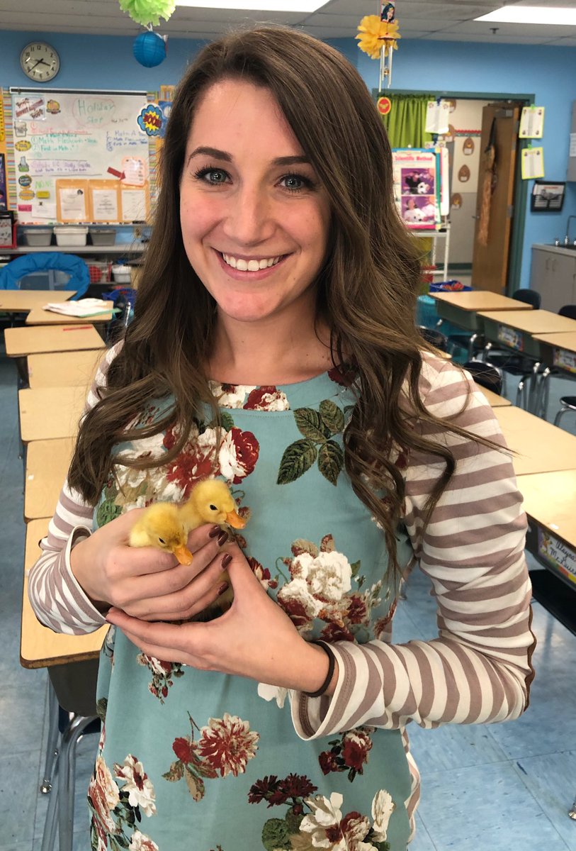 Rosgone4thgrade's tweet photo. Ducks, ducks, ducks!! We're head over heels for our 2 ducks! 😍😍😍#scienceexperiences #EveryKidEveryDay https://t.co/V7oLOIkx9W
