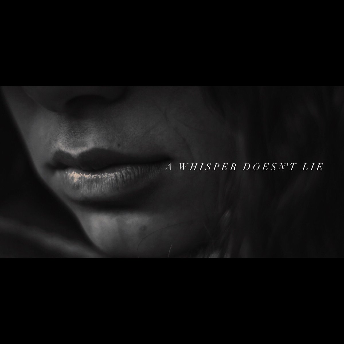 Small Pond Big Fish tweet media