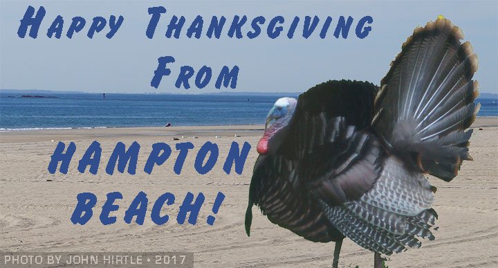 HBCNH's tweet photo. Happy #Thanksgiving from #HamptonBeach! https://t.co/beHgz1q8eF