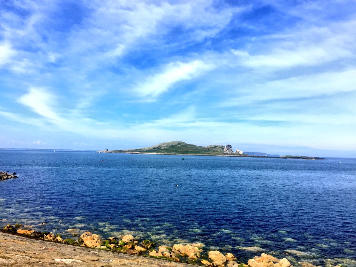 Love Fingal Dublin tweet media