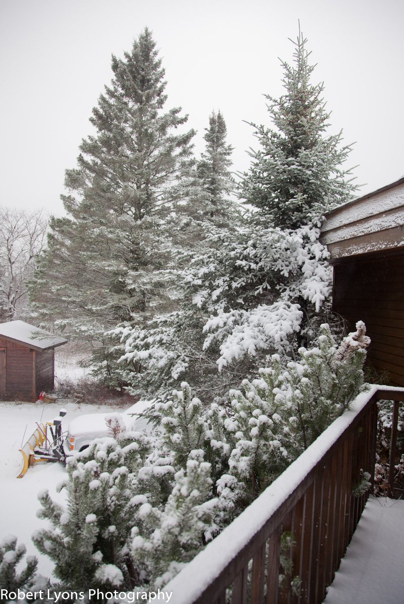 2" new snow today, total 7" on the ground Walden VT #whitethanksgiving #vtwx <a href="/TylerJankoski/">Tyler Jankoski NBC5 📺</a> @CaitlinMyNBC5 <a href="/MichaelPageWx/">Michael Page</a> <a href="/VermontTourism/">Vermont Tourism</a> @TimNBCBoston <a href="/wcax/">Channel 3 News</a> <a href="/SeanMParker/">Sean Parker</a> <a href="/JimCantore/">Jim Cantore</a> <a href="/ericfisher/">Eric Fisher</a> @THISISVT <a href="/NWSBurlington/">NWS Burlington</a> <a href="/TerryWBZ/">Terry Eliasen</a>