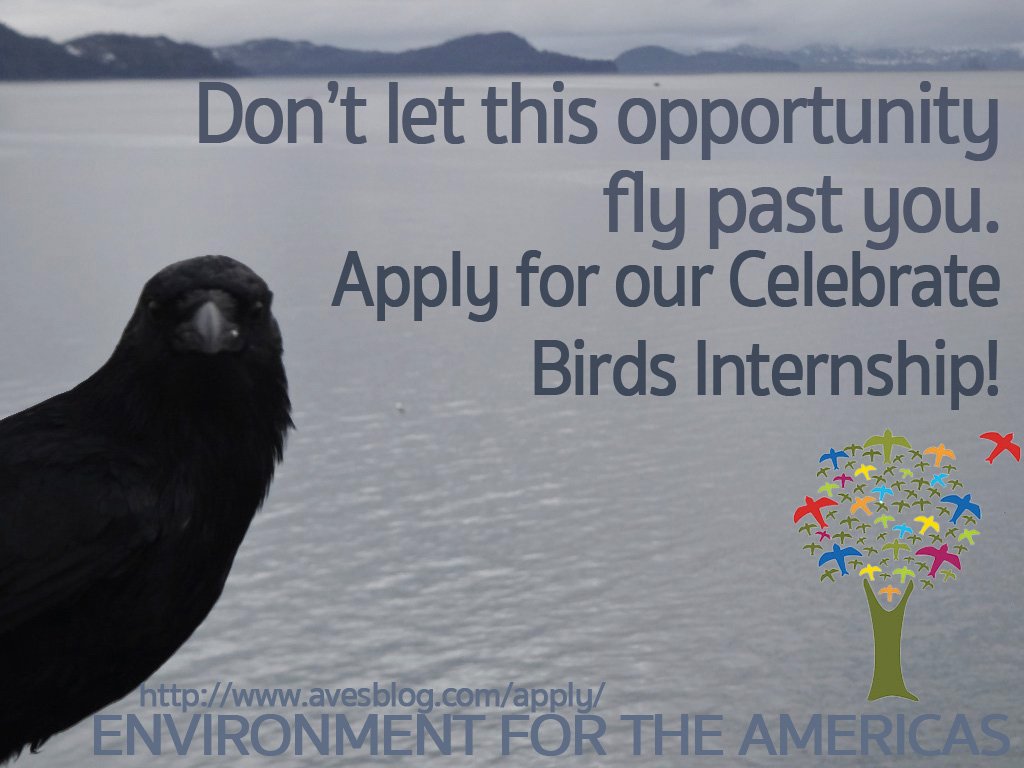 In the coming year, interns will work at sites in Colorado, California, Oregon, &amp; Alaska to monitor migratory shorebirds and offer bird conservation education programs at host sites and in communities.
If you would like to apply you can visit avesblog.com/apply/
#EFTA #Intern