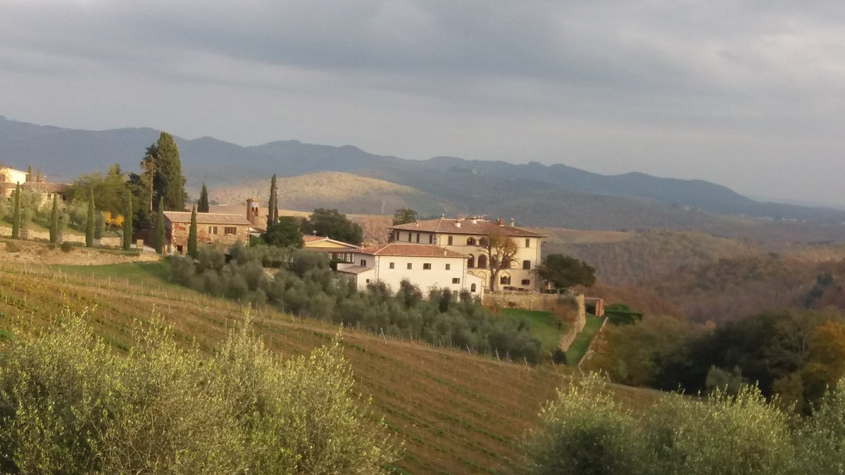 ChefAndre87's tweet photo. #olivoillover ...alla conoscenza di @Dievole !! Posto meraviglioso e grandi oli!! https://t.co/wUkmhBGIQh