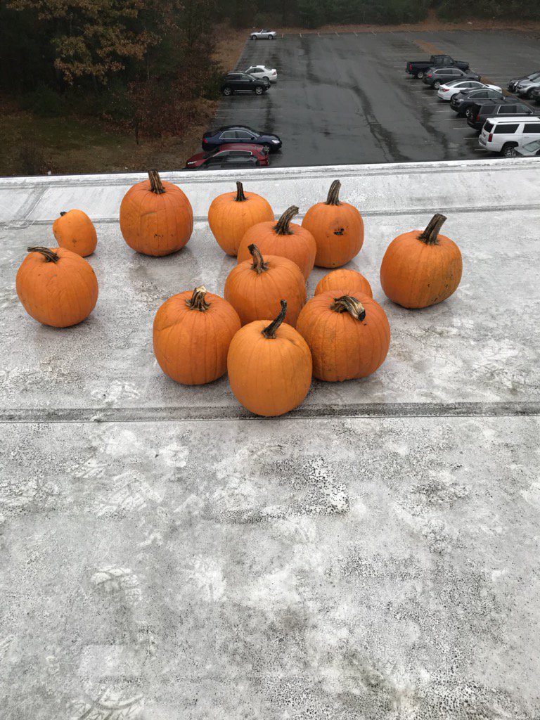 Great Pumpkin Smash success!! TMS students did a fantastic job raising funds for adopt-a-family #tpsprepares
