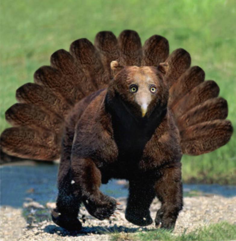 GreyHawkReborn's tweet photo. We here at GHR, are thankful for all those that support us, as well as being in a world where we don't *currently* have to worry about the threat of Owlbear-Turkeys! 
From all of us, to all of you, Happy Thanksgiving!
#dnd #dnd5e #Thanksgiving https://t.co/OMGflgfgmf