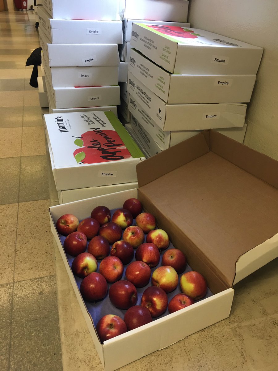 BarbLedermann's tweet photo. A small but fast and efficient crew at Fairmount Public School loading and packing our delivery from @freshfromfarmON today! Thanks to all! @DietitiansCAN @haineskl https://t.co/tE3dHEYC3V