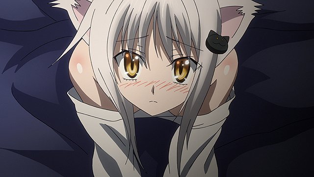 塔城子猫生誕祭 塔城子猫生誕祭
