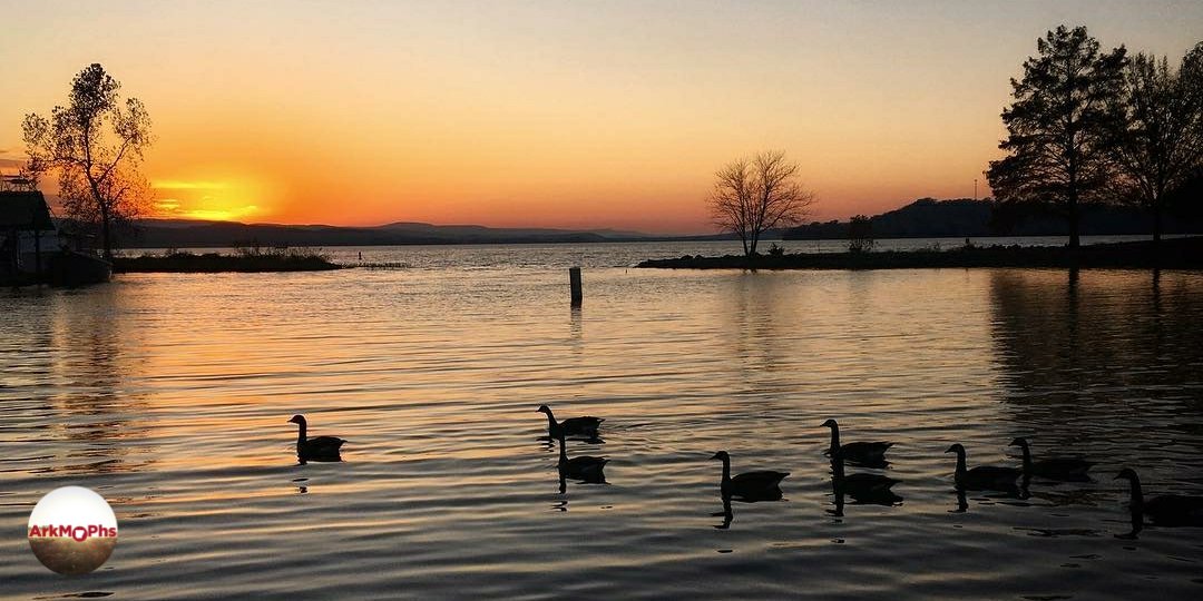 This is such a beautiful Arkansas shot. But wait! There are more geese! Click to find them here goo.gl/MkERno