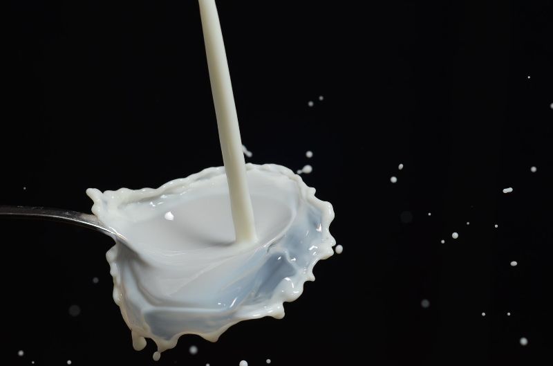 BS_Genk's tweet photo. Wil jij zelf plantaardige melk maken? Maak dan je eigen huisgemaakte #amandelmelk! #Health #Lifestyle https://t.co/Zh8ahK5KxO https://t.co/9GdEsXnp1Z