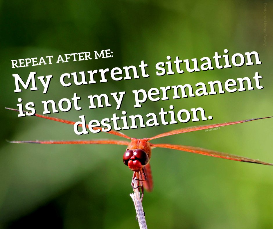 VistaChamber's tweet image. #NotPermanent #HumpDayHelp #VistaChamber