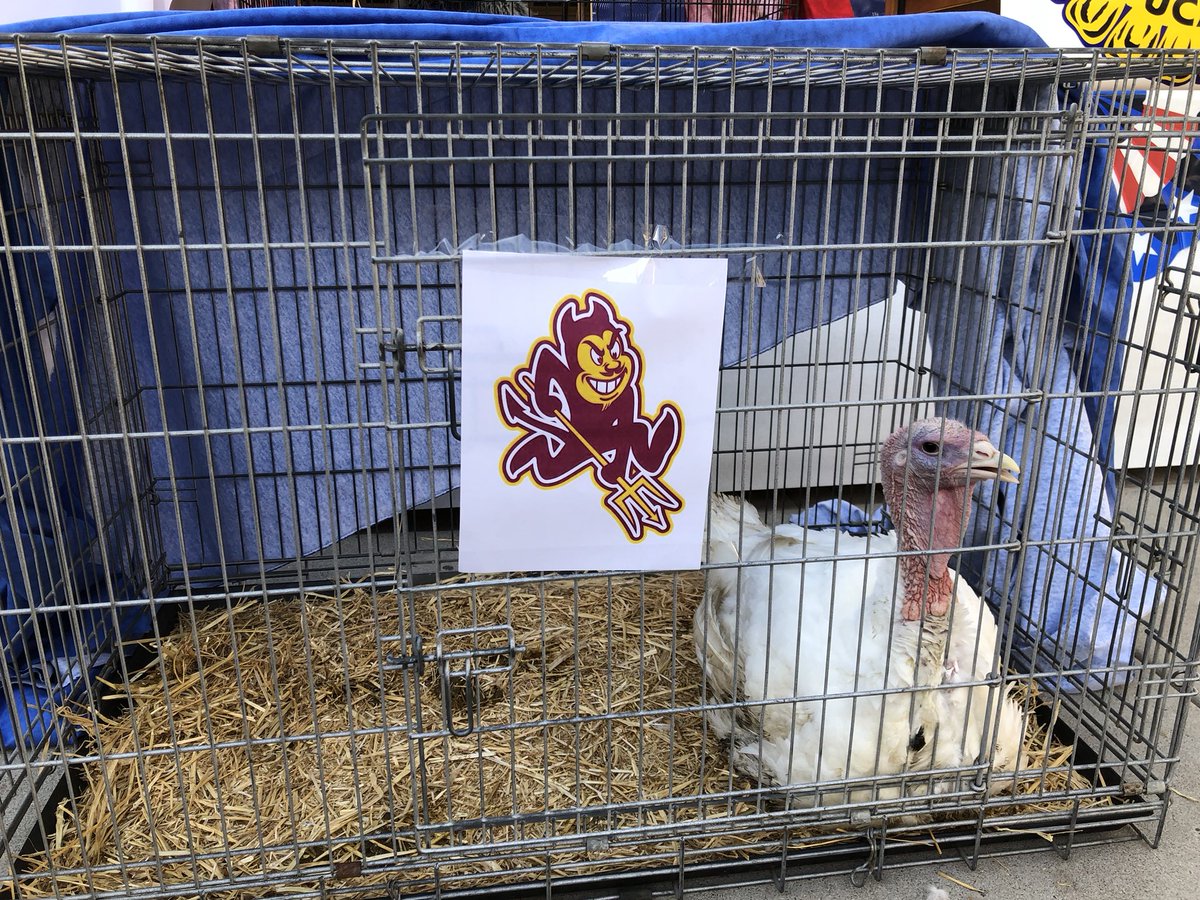 ChandlerCARECtr's tweet photo. Thank you to @Chandler FFA, @ChandlerHigh and @LRother_CHS for pardoning FOUR turkeys to raise money for the CARE Center! @ChandlerUnified https://t.co/y92e6op8xk