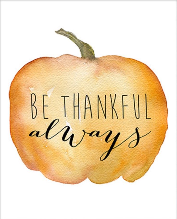 Have a great Thanksgiving everyone! We are thankful for our wonderful supporters, donors, volunteers, board members, and families who make our program possible. We could not do it without you! #Thanksgiving #ThankYou