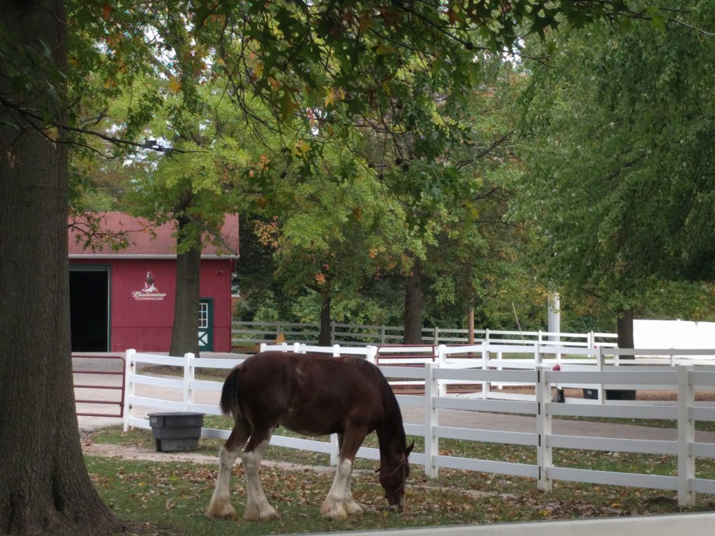 knitterbunny's tweet photo. A Bit of Grant’s Farm https://t.co/xSAfPKD8ab https://t.co/HjYP2jtrlo