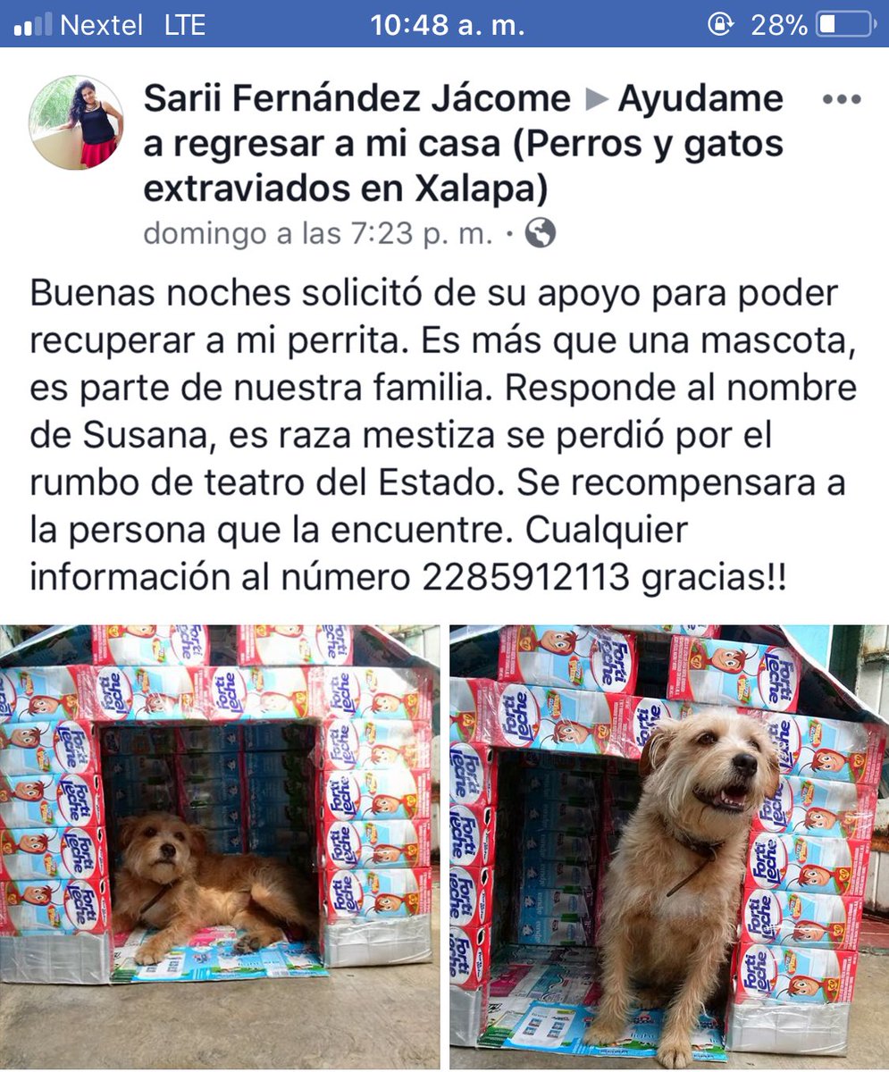 Zapatito_Azul's tweet photo. Oigaaaaaan están buscando a “Susana” 🐶 porfis ayudemos a encontrarla #Xalapa https://t.co/0htPV5fqTa