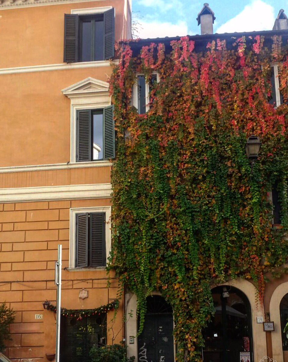meyanderings's tweet photo. Trastevere ❤️ #autumn #walkablerome #quaint #sunnyafternoon #beauty  #travelblog #mydailyrome https://t.co/BCZONyxvFE
