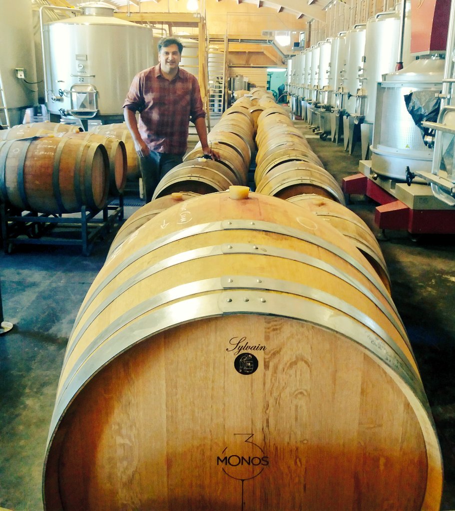 Definiendo las mezclas 2016 <a href="/Vinos3monos/">Vinos 3 monos</a> ! Muy buena fruta!
