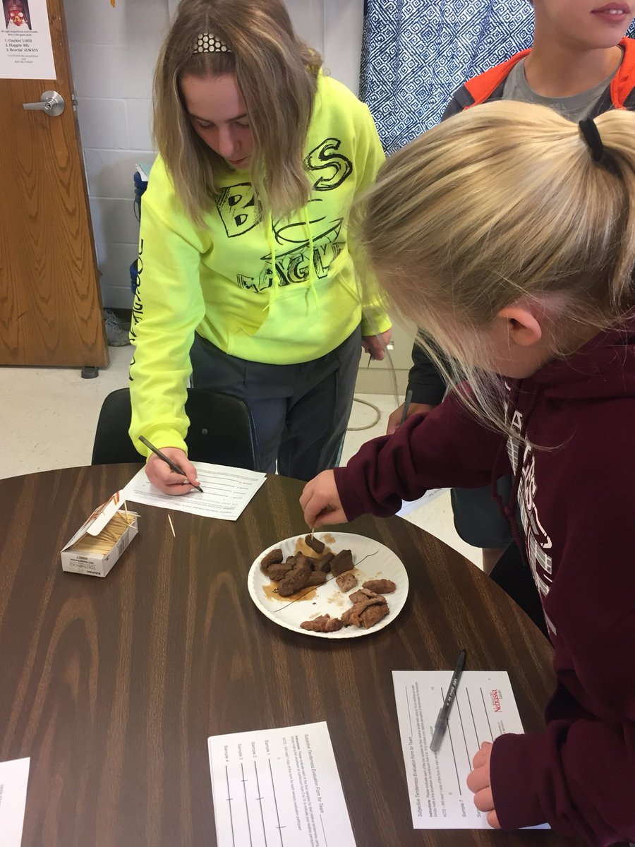 thatisso_witte's tweet photo. What better way to spend the day before Thanksgiving than by determining the best way to tenderize #beef round steak #teachthemwell #TeachAgEd https://t.co/dUXRDXPB5a
